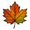 Leaf Autumn Maple Leaf