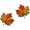 Leaf Autumn Maple Leaf 2