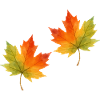 Feuille d’érable Feuille Aquarelle 2