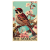Sparrows Sparrow