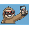 Cool Sloth Selfie Design