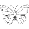 Minimalistic Butterfly