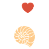 coquillage