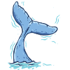 Walbeobachtung What the fluke!?