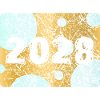 2028