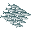 Swarm Intelligence - Herring Swarm