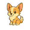Chiot doux - Chihuahua
