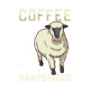 Coffee and Hampshire sheep