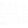 Fun dad T shirt