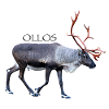 Olostunturi