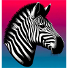 zebra