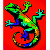 Gecko