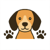 Dog with paws