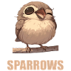 Sparrows Sparrow