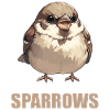 Sparrows Sparrow