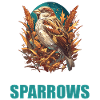 Sparrows Sparrow