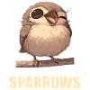 Sparrows Sparrow