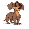 Cute Puppy Dachshund with Friendly Look