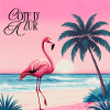 Flamingo