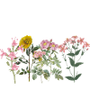 Fleurs effrayantes