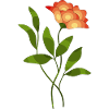 Floral illustration with contrasting shades
