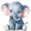 Elephant Baby