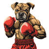 Chien Boxer