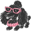 Funny Poodle