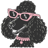 Drôle de caniche