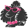 Drôle de caniche