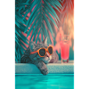 Coole Katze am Pool