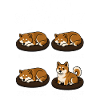 Akita