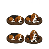Basset Hound