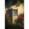 Lonely ATM in Bloom