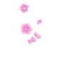 Totenkopf mit blumen in rosa