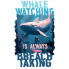 Walbeobachtung Whale Watching