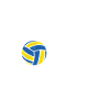 Coach volleyball T-shirt Volleyball Trainer