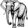 Eleganter Elefant – Line Art Design