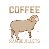 Kaffee und Rambouillet-Schaf