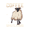 Café et moutons Shetland