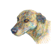 Abstract Dog