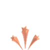 Camping Crew