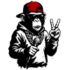 Cool Monkey