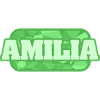 Health Amilia