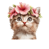 Kitten with pink hibiscus