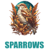 Sparrows Sparrow