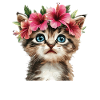 Kitten with hibiscus wreath