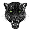 Panther