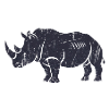 Star Rhino with Galaxy Background