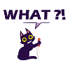 Creepy cat